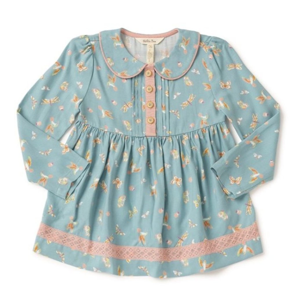 MJ Entomology Top